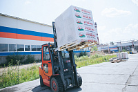 Газобетон ПТЖБ D500 B2.5 600х300х250 П